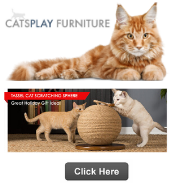 Catsplay cat furniture