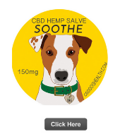 cbd oil for dog health