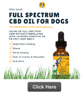 full spectrum cbd oil for dogs