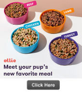 Ollie pet food a great buy and on sale!