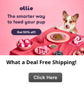 Ollie Pet Food - Free Shipping!